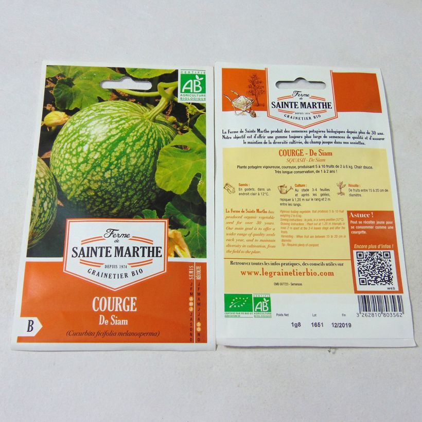 Example of Fig Leaf Squash - Ferme de Sainte Marthe Seeds specimen as delivered