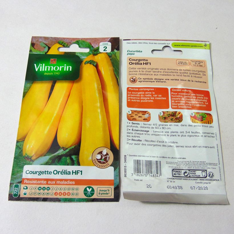 Example of Yellow Courgette Orelia F1 - Vilmorin Seeds specimen as delivered