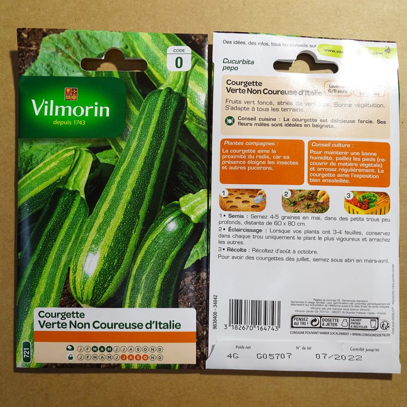 Example of Non-trailing Zucchini - Vilmorin seeds - Cucurbita pepo specimen as delivered