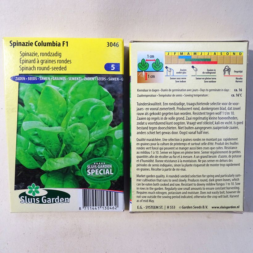 Example of Spinach Columbia F1 specimen as delivered