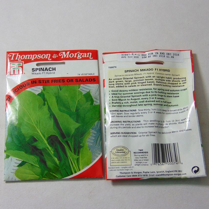 Example of Spinach Mikado F1 specimen as delivered