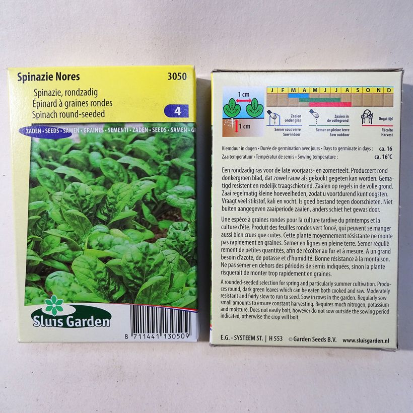 Example of Spinach Nores specimen as delivered