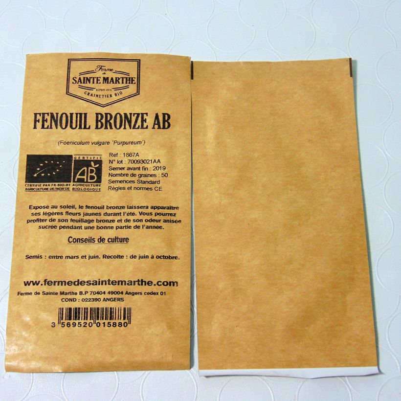 Example of Organic Bronze Fennel - Ferme de Sainte Marthe seeds - Foeniculum dulce specimen as delivered