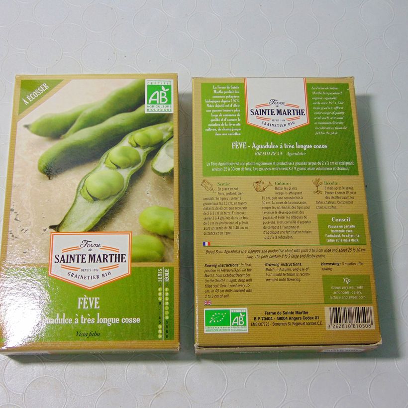 Example of Broad bean Aguadulce - Ferme de Sainte Marthe seeds specimen as delivered