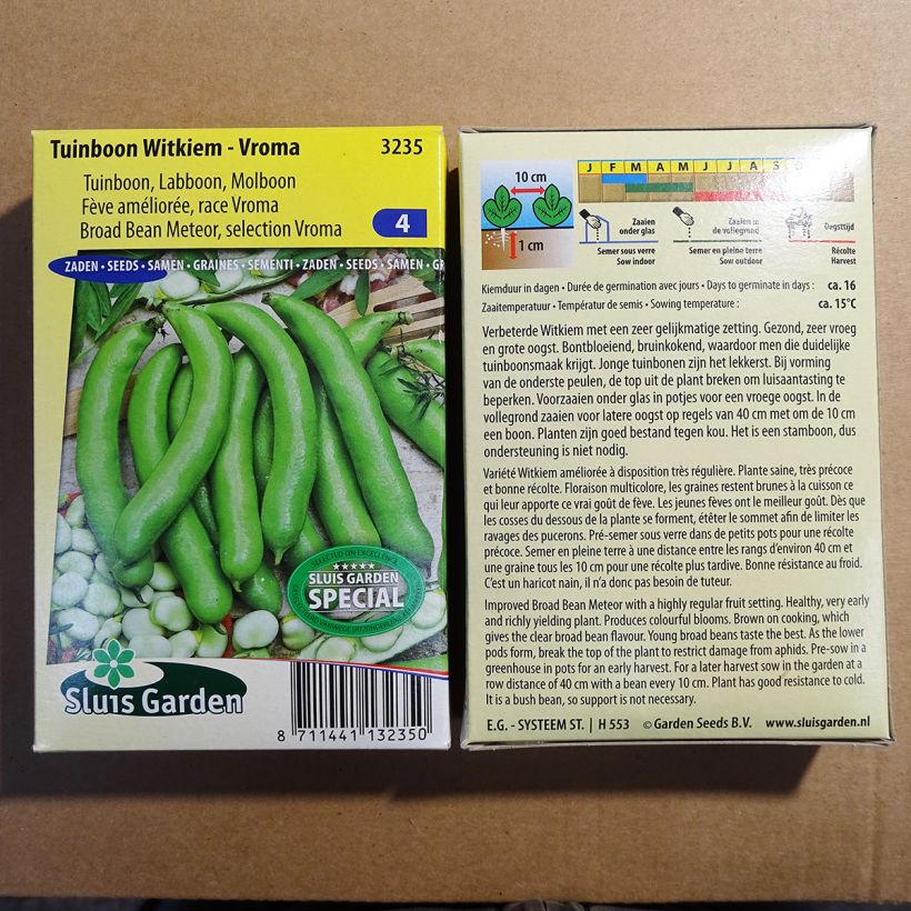 Example of Broad Bean Witkiem Vroma specimen as delivered