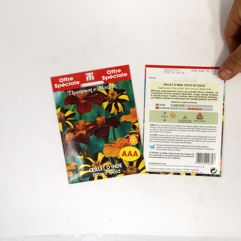 Example of Seeds of Marigold Pots of Gold - Tagetes patula per pack of 100 seeds specimen as delivered