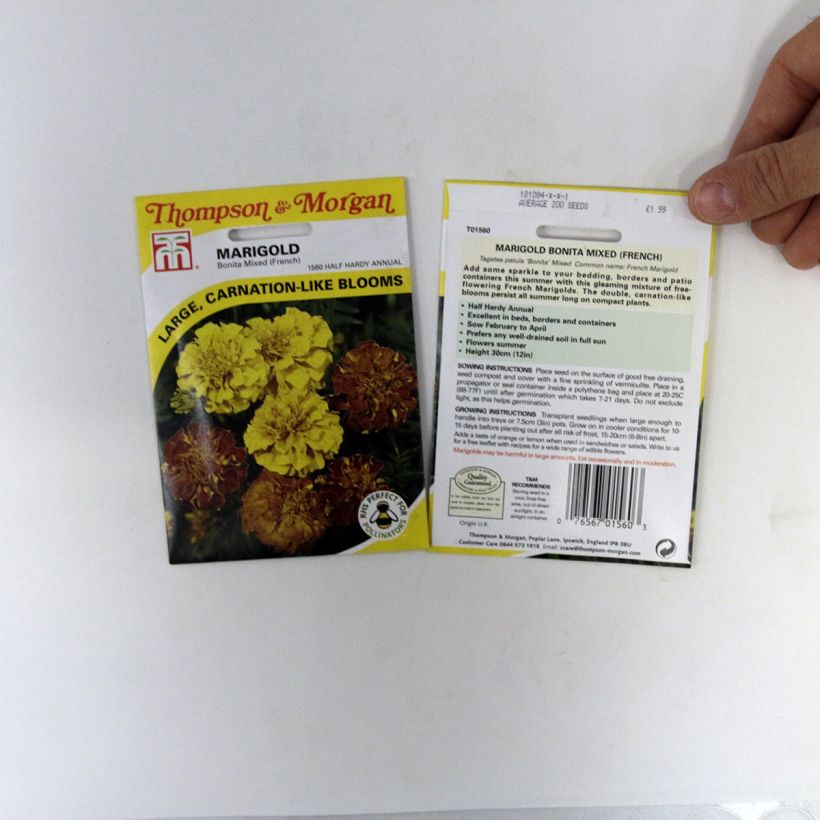 Example of Seeds of Bonita Mixed Indian Marigold - Tagetes patula specimen as delivered
