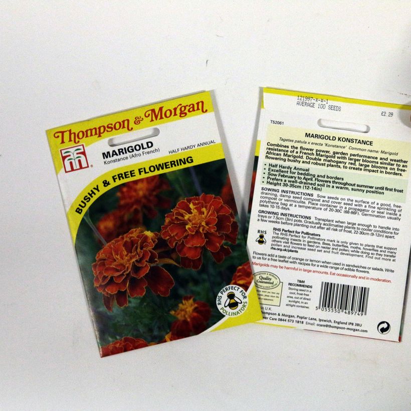 Example of Marigold Konstance Seeds - Tagetes specimen as delivered