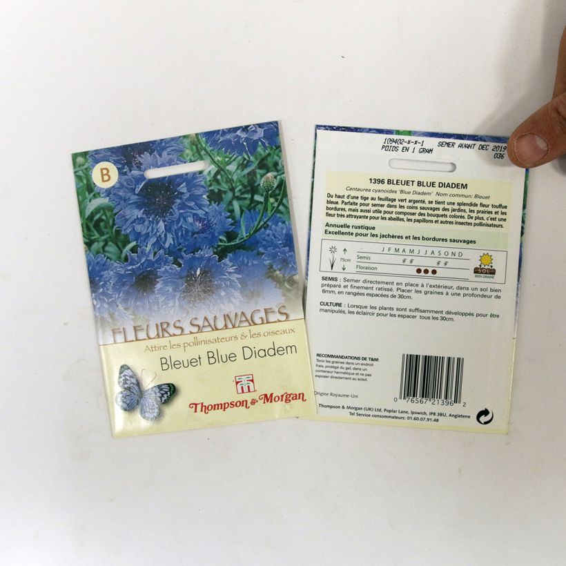 Example of Blue Diadem Cornflower - Centaurea cyanus seeds specimen as delivered