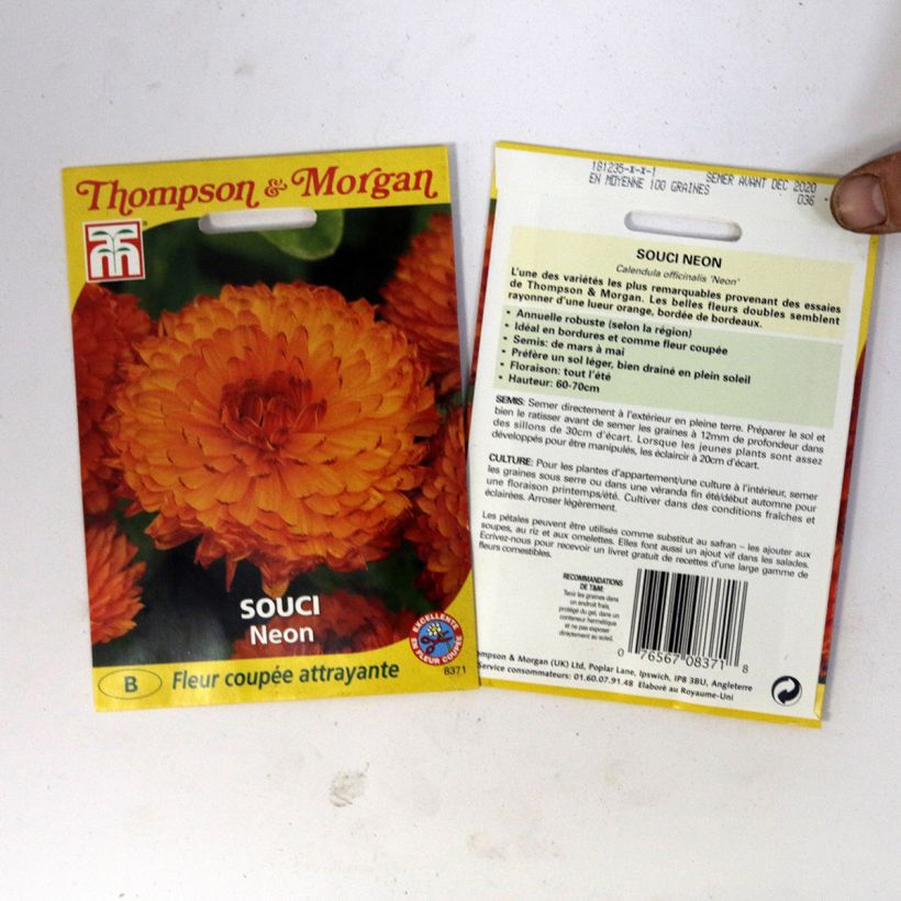 Example of Calendula officinalis Neon Seeds - Pot Marigold specimen as delivered