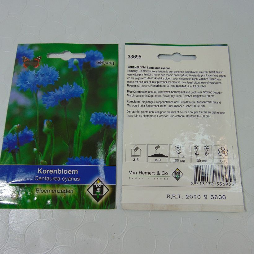 Example of Wild Cornflower Seeds - Centaurea cyanus specimen as delivered