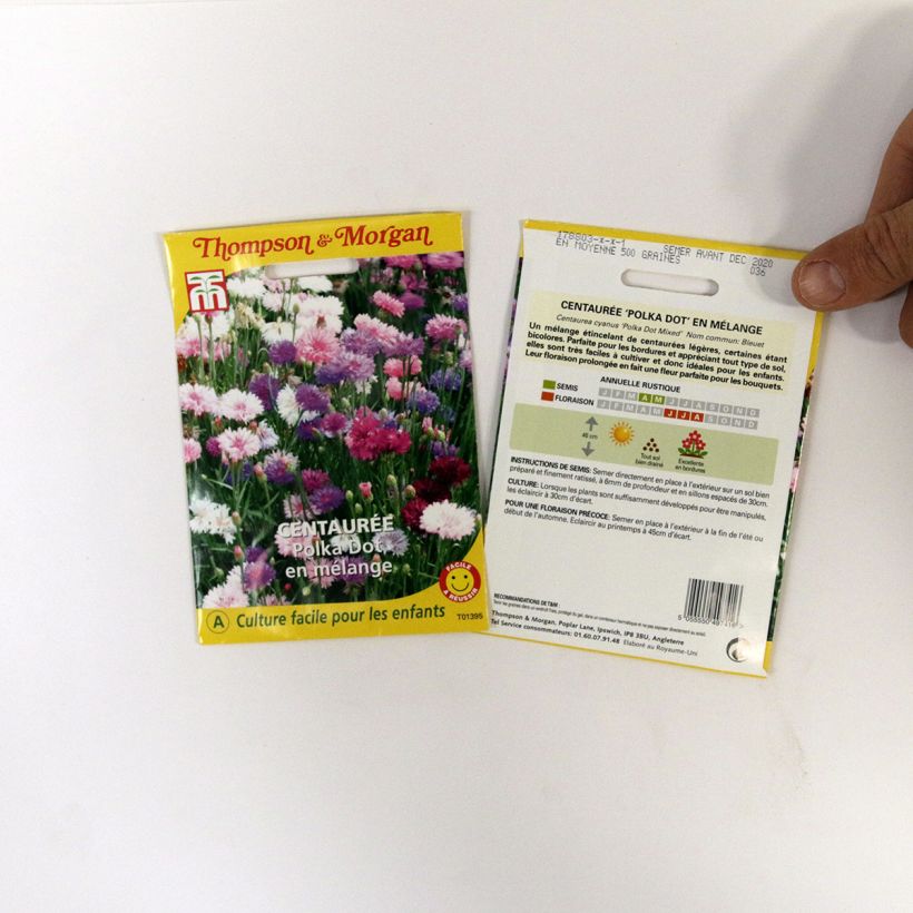 Example of Polka Dot Mix Cornflower - Centaurea cyanus seeds specimen as delivered