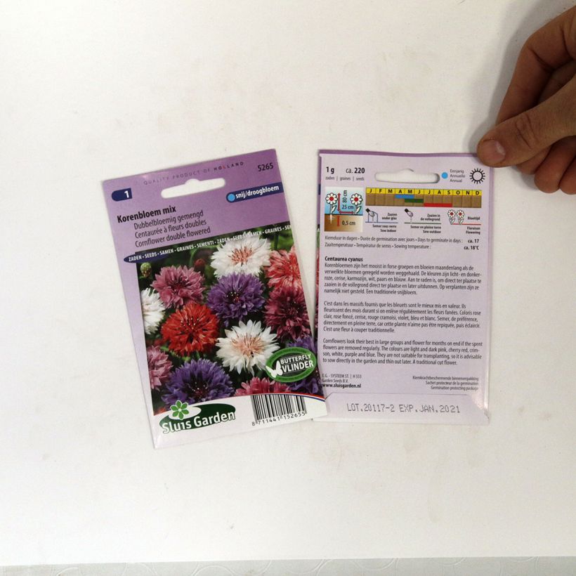 Example of Cornflowers Double-flowered Mixed Seeds - Centaurea cyanus specimen as delivered