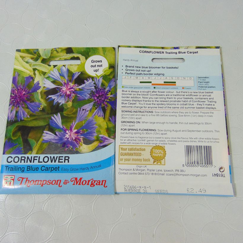 Example of Cornflower Trailing Blue Carpet Seeds - Centaurea cyanoides specimen as delivered
