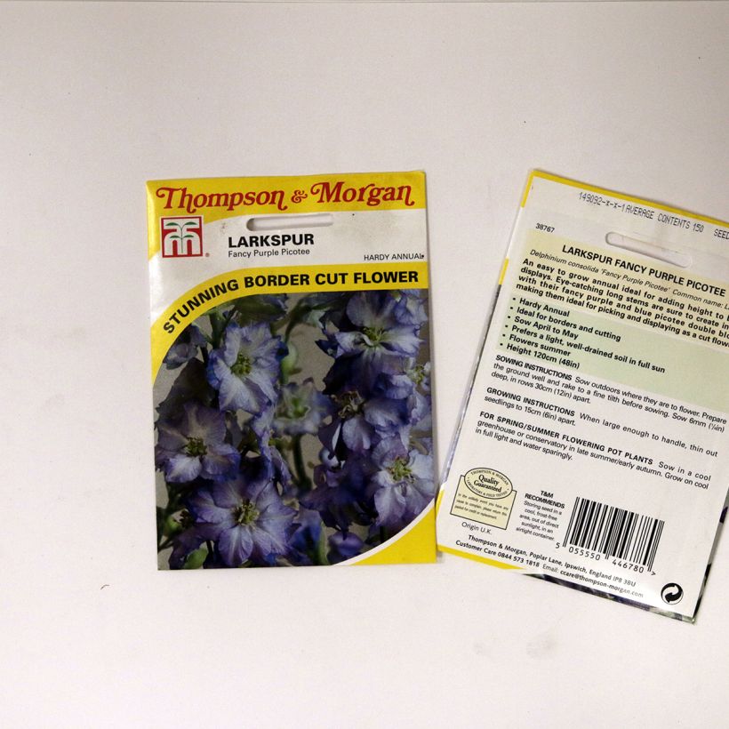 Example of Delphinium Fancy Purple Picotee seeds - Annual Larkspur specimen as delivered
