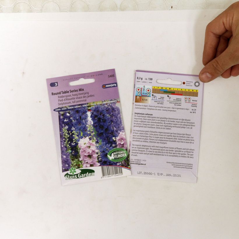 Example of Delphinium Round Table Series Mix - Perennial Larkspur specimen as delivered