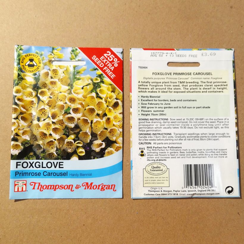 Example of Foxglove Primrose Carousel - Digitalis purpurea seeds specimen as delivered