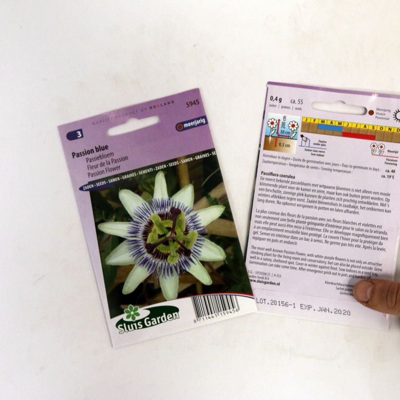 Example of Passiflora caerulea seeds specimen as delivered