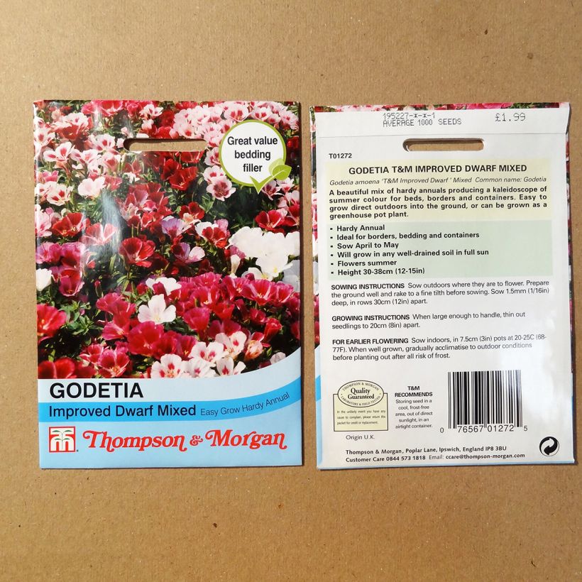 Example of Godetia Improved Dwarf Mix Seeds - Clarkia specimen as delivered