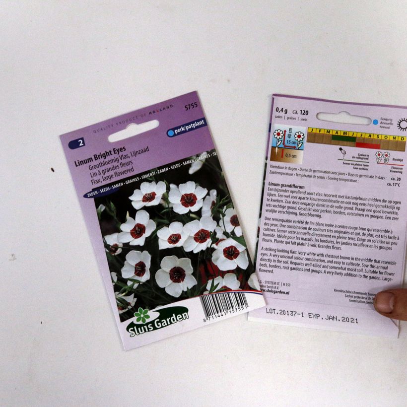 Example of Linum grandiflorum Bright Eyes - Annual Flowering Flax Seeds specimen as delivered