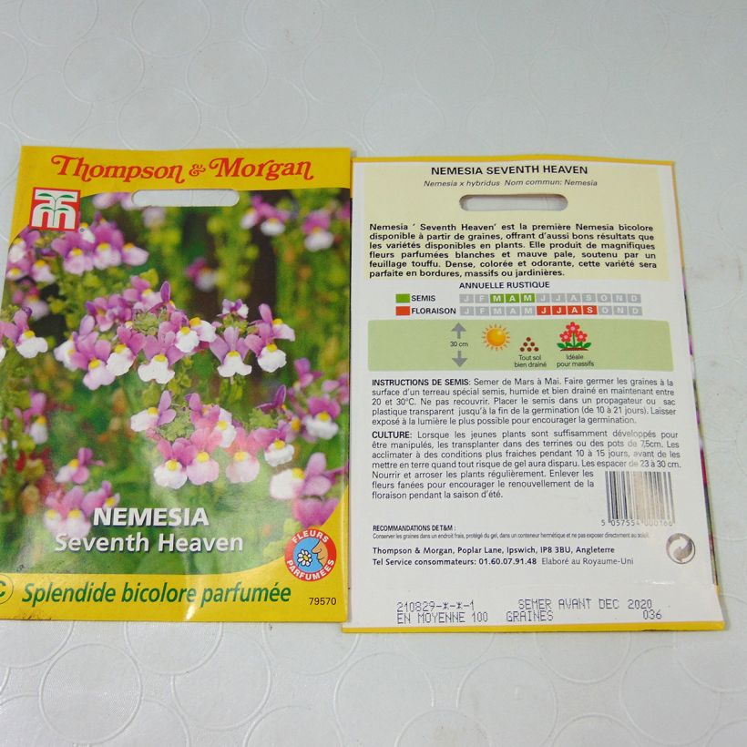 Example of Nemesia Seventh Heaven Seeds specimen as delivered