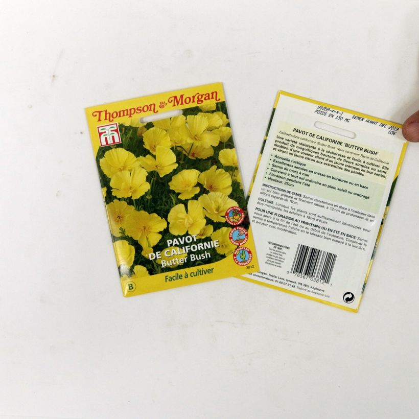 Example of California Poppy Butter Bush - Eschscholzia californica seeds specimen as delivered