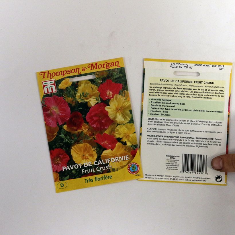 Example of California Poppy Fruit Crush Seeds - Eschscholzia californica specimen as delivered