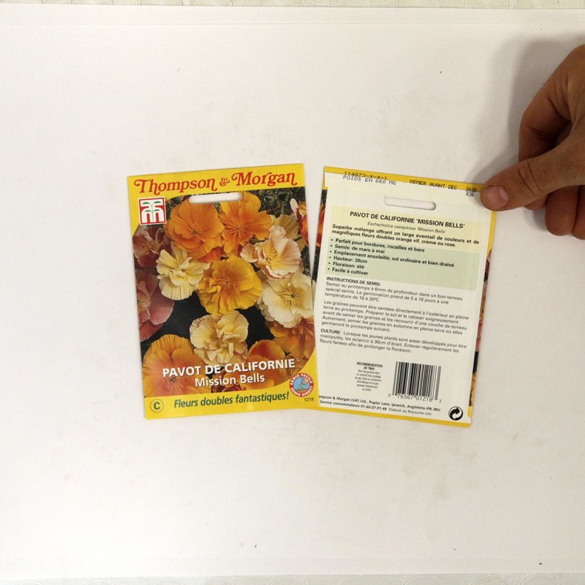 Example of Mission Bells California Poppy Seeds - Eschscholzia californica specimen as delivered