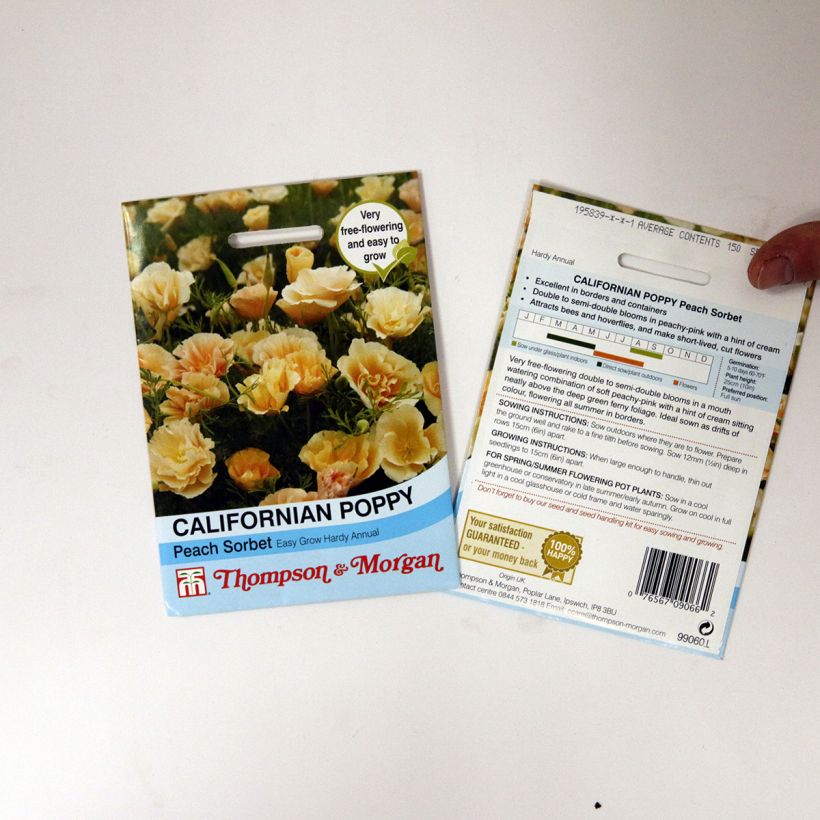 Example of California Poppy Peach Sorbet - Eschscholzia californica seeds specimen as delivered