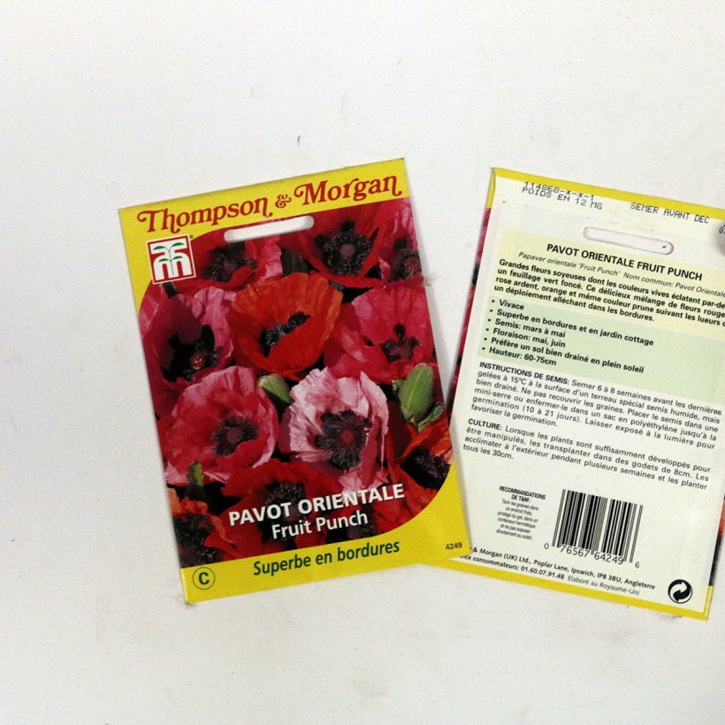 Example of Oriental Poppy Fruit Punch Seeds - Papaver orientale specimen as delivered
