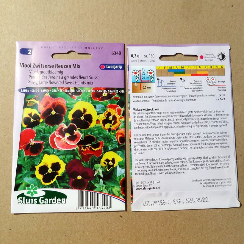 Example of Viola Mix - Swiss Garden Pansy Seeds Seeds specimen as delivered