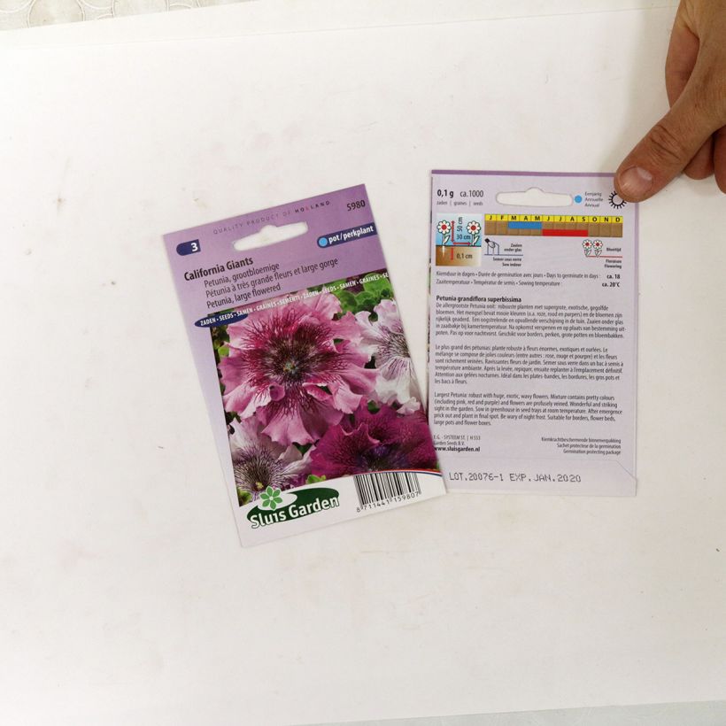 Example of Petunia large-flowered California Giants Mix Seeds specimen as delivered