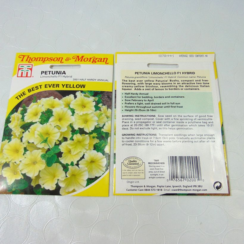 Example of Petunia Limoncello F1 Seeds specimen as delivered
