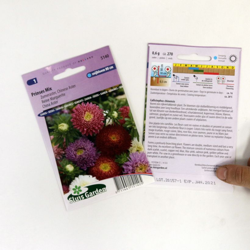 Example of China aster Princess Mix Seeds specimen as delivered