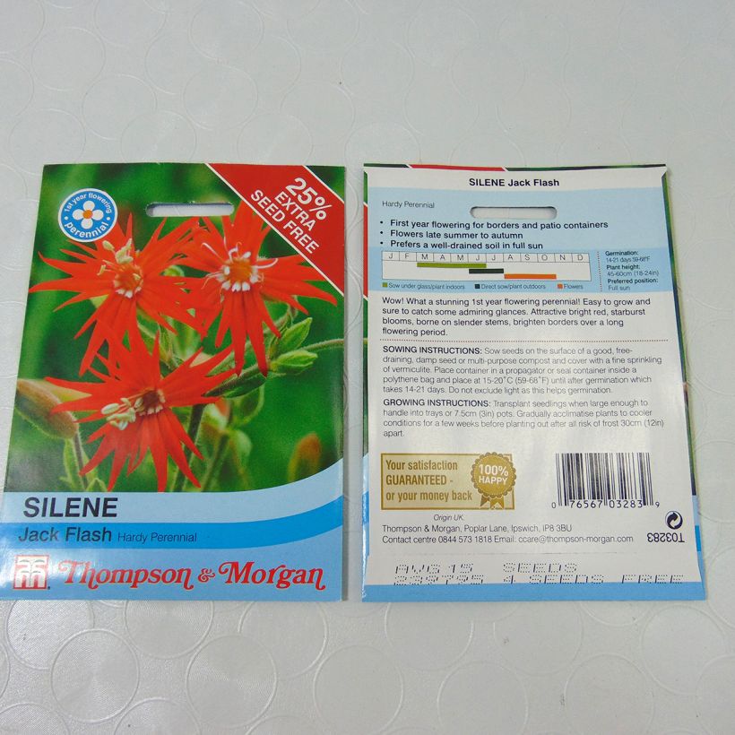 Example of Silene laciniata - Mexican Catchfly Jack Flash Seeds specimen as delivered