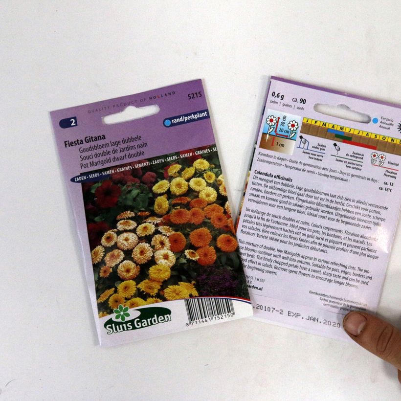 Example of Calendula officinalis Fiesta Gitana Seeds - Dwarf Pot Marigold specimen as delivered