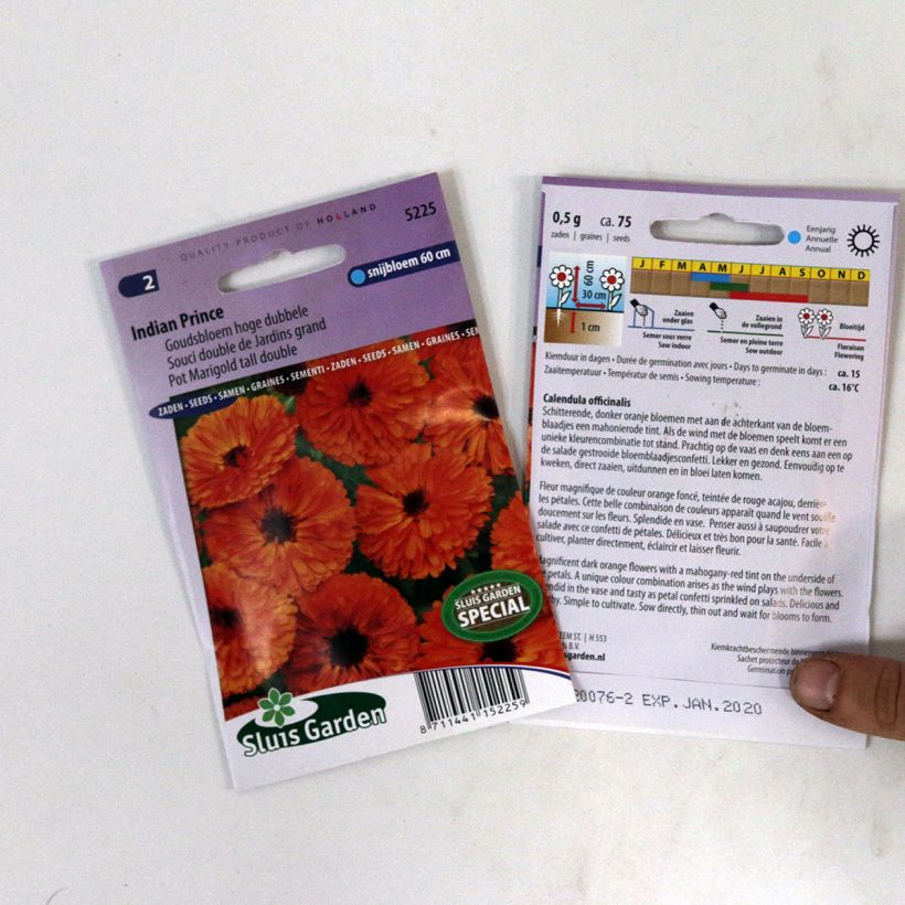 Example of Calendula officinalis Indian Prince Seeds - Pot Marigold specimen as delivered