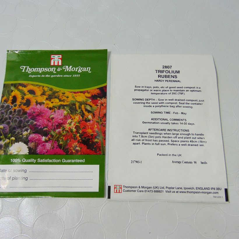 Example of Trifolium rubens Seeds - Ruddy clover specimen as delivered