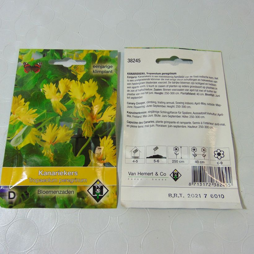 Example of Tropaeolum peregrinum - Canary Naked Seeds specimen as delivered