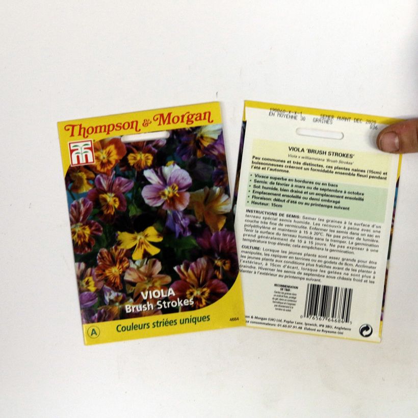 Example of Viola Brush Strokes - Pansy specimen as delivered