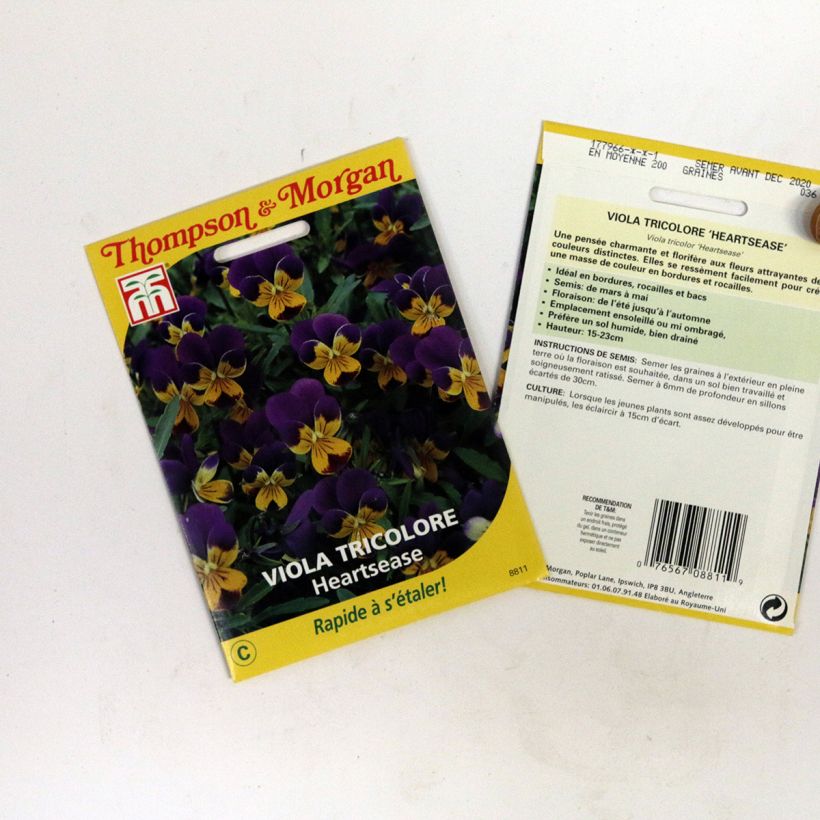 Example of Viola tricolor per pack of 100 seeds specimen as delivered