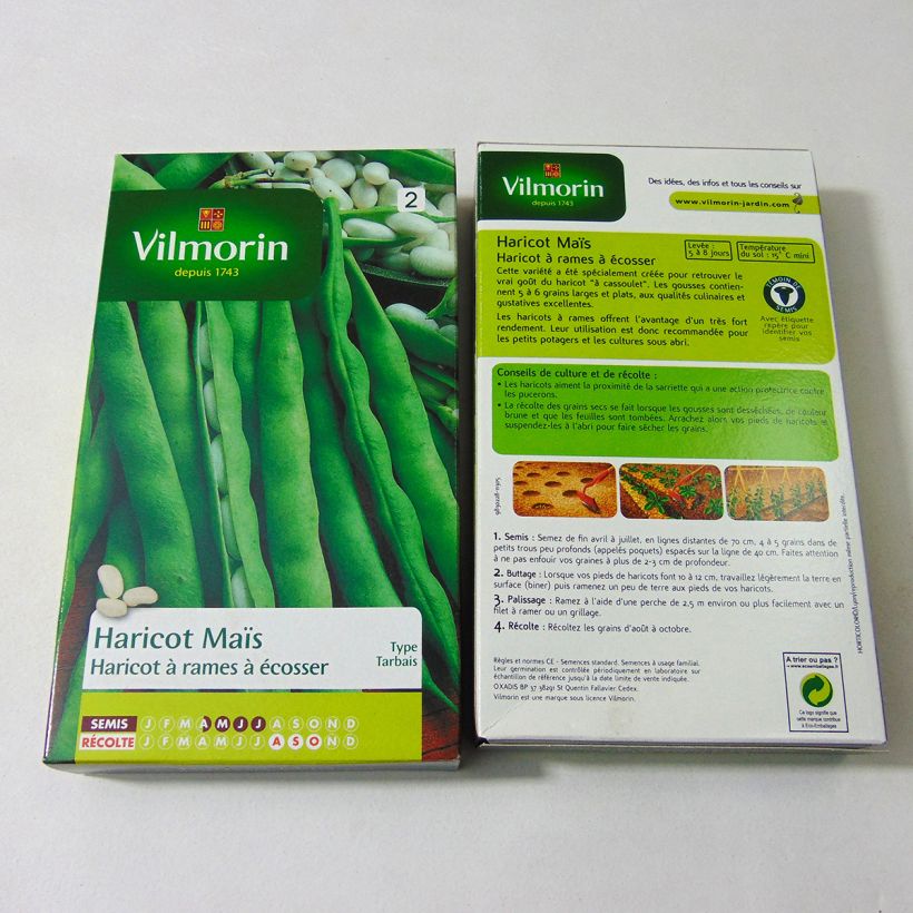 Example of Pole Dry Bean Maïs Tarbais - Vilmorin Seeds specimen as delivered