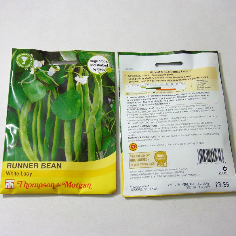 Example of Runner Bean White Lady specimen as delivered