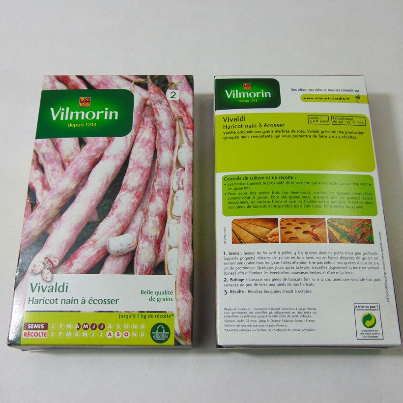 Example of Bush Shell Bean Vivaldi - Vilmorin Seeds specimen as delivered