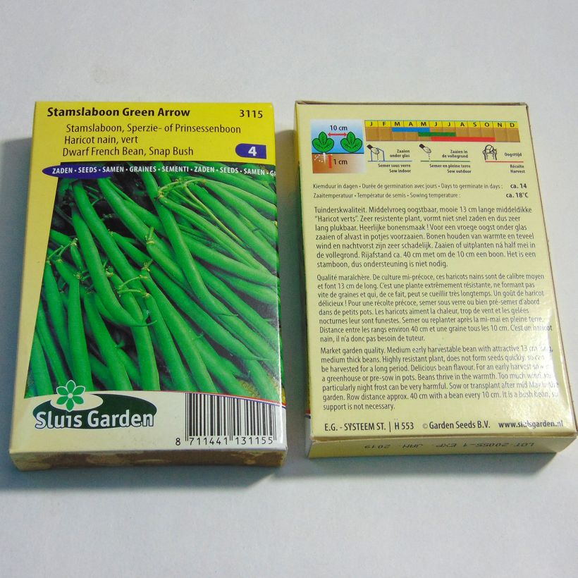 Example of Dwarf French Bean Green Arrow specimen as delivered
