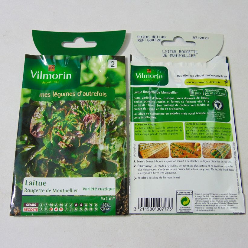Example of Butterhead lettuce Rougette de Montpellier - Vilmorin Seeds specimen as delivered