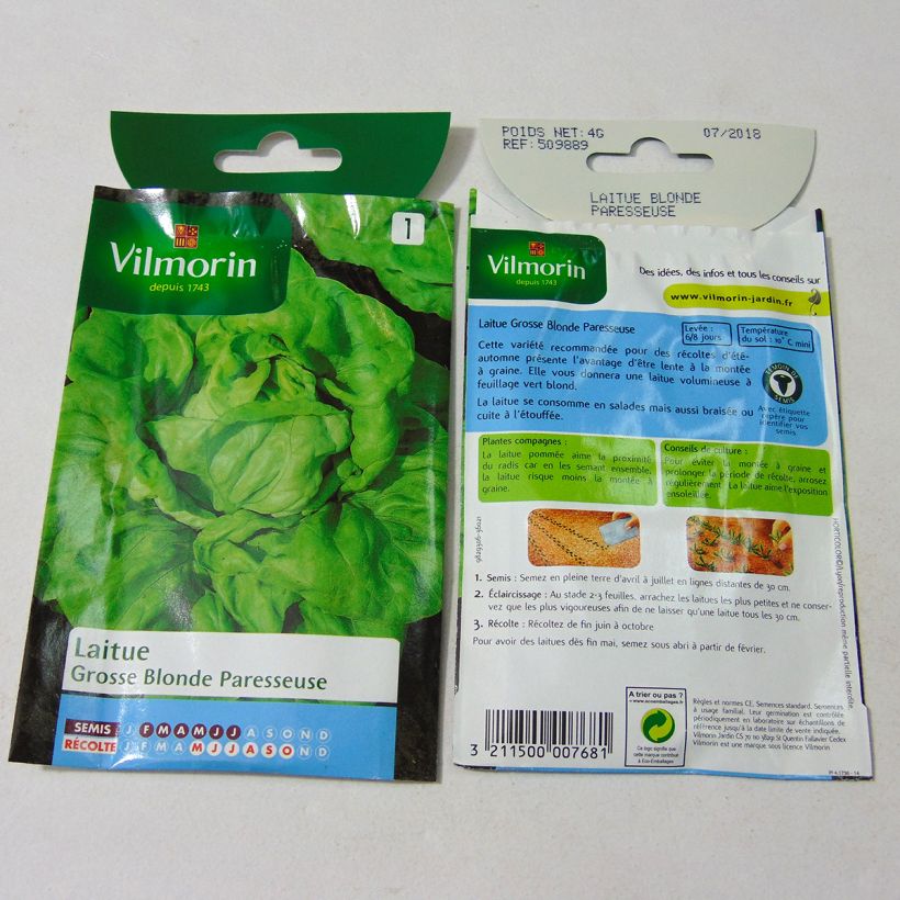 Example of Butterhead Lettuce Fat Lazy Blonde - Vilmorin Seeds specimen as delivered
