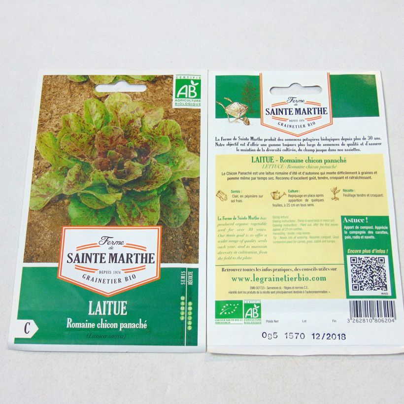 Example of Romaine Lettuce Chicon Panaché - Ferme de Sainte Marthe seeds specimen as delivered