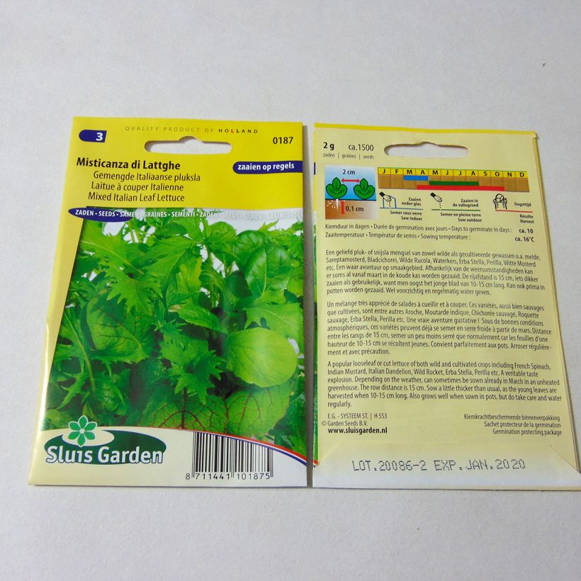 Example of Loose leaf Lettuce Misticanza di Lattghe - Italian salad mix specimen as delivered