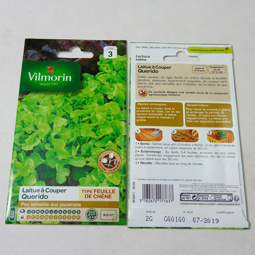 Example of Loose leaf Lettuce Querido - Vilmorin seeds creation specimen as delivered